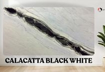 CALACATTA BLACK WHITE