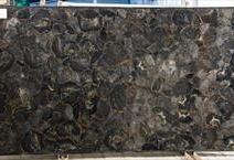 BLACK PETRIFIED
